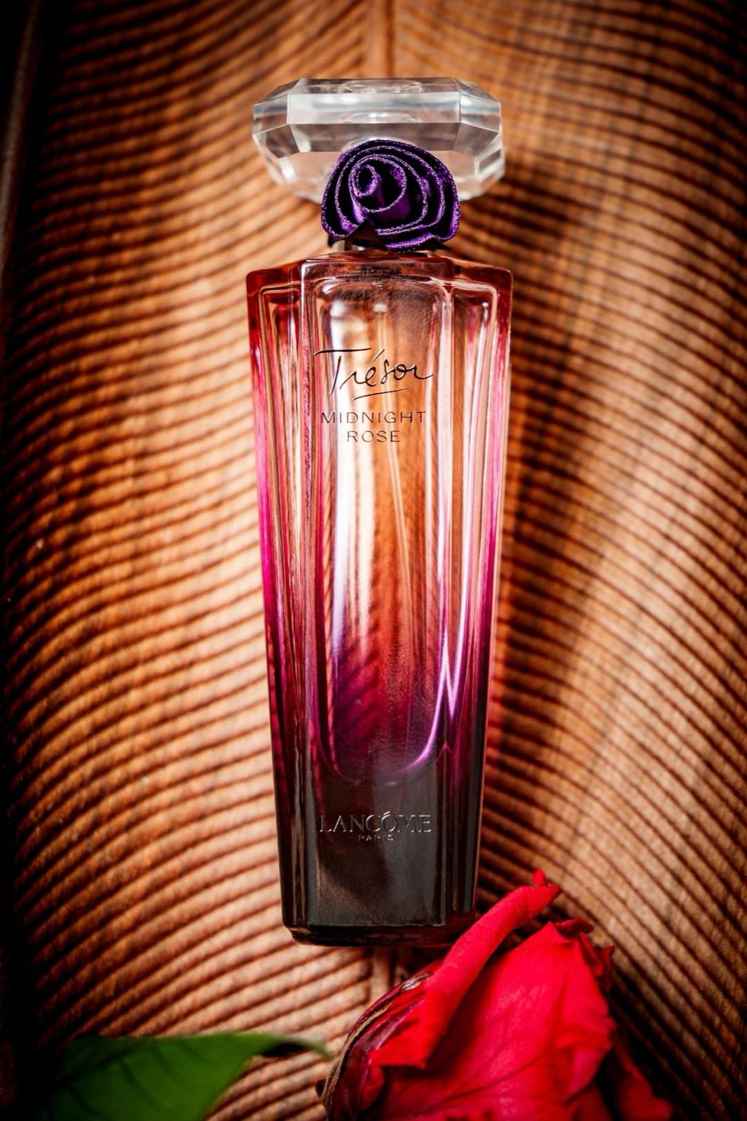 Photographie de parfum, branding, par MLD Productions à Rennes